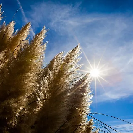 Lägenhetshotell Oasis