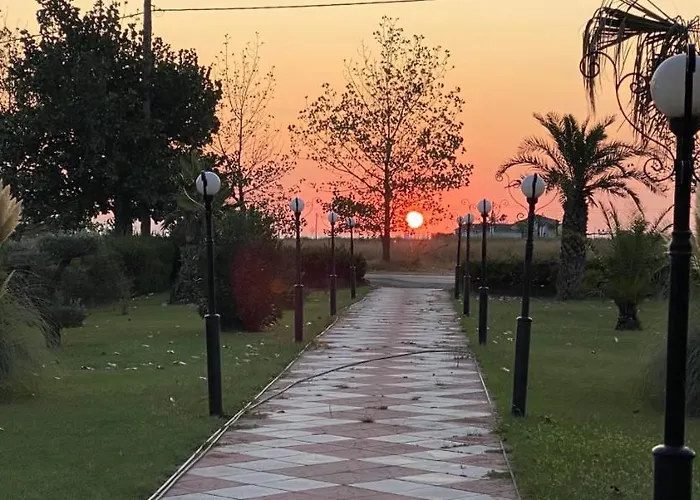Oasis 3*