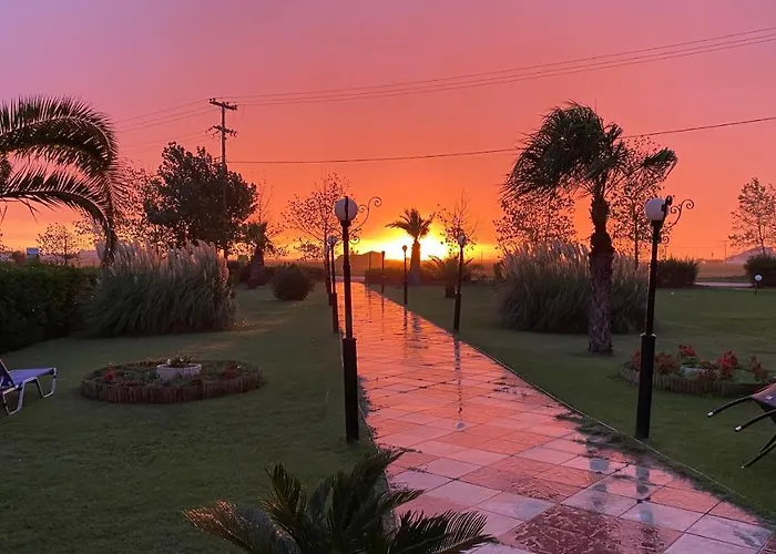 Oasis 3*