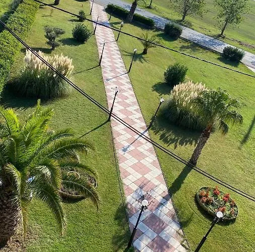 Oasis