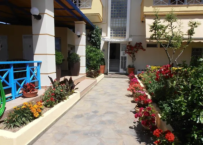 Oasis 3*