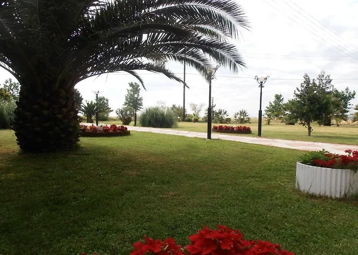 Oasis