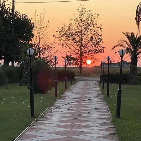 Oasis 3*