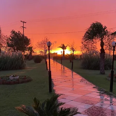 Oasis 3*