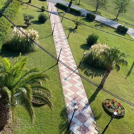 Oasis