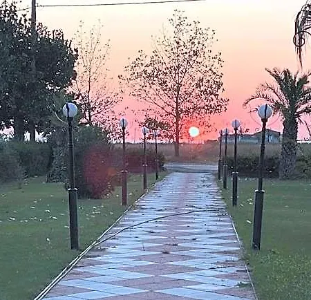 Oasis 3*