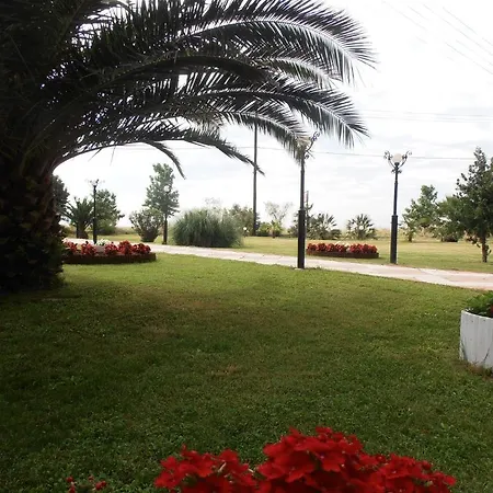 Oasis