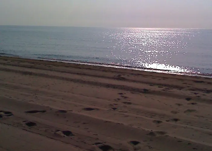 Oasis 3* Паралия-Катерини