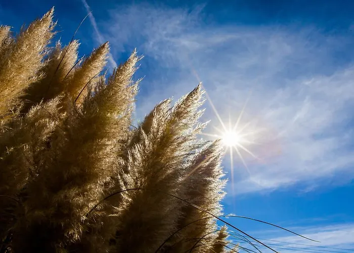 Апарт-отель Oasis